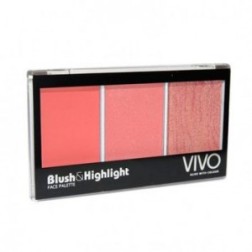 blush-highlight-palette